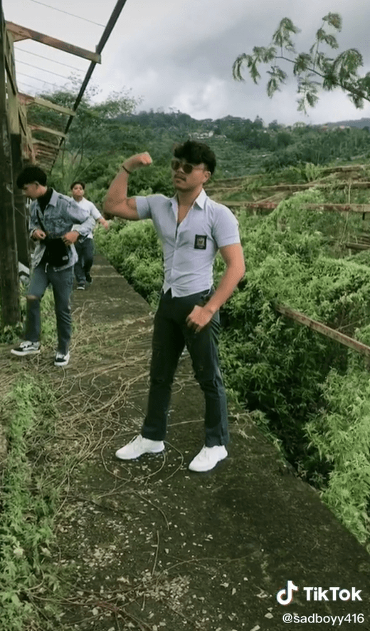 meme tiktok bernyanyi