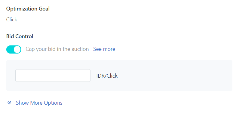 opsi bidding dan optimization tiktok ads